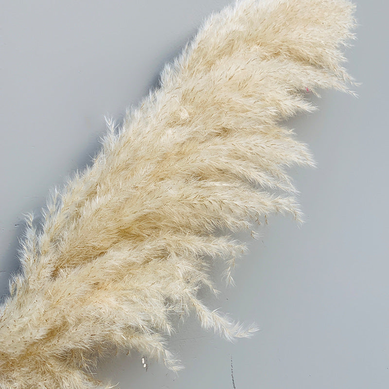 5cc6d0bbde877fa9ef1a04c0cfd17b44